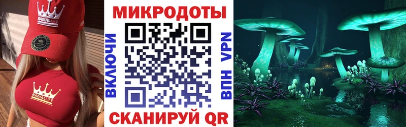 kraken ссылки магазин наркотиков Ейск Галлюциногенные грибы Psilocybe